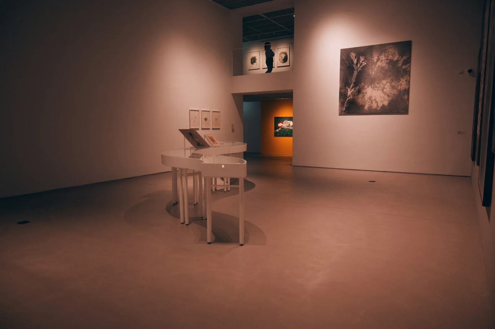 Illustrative contemporary art gallery